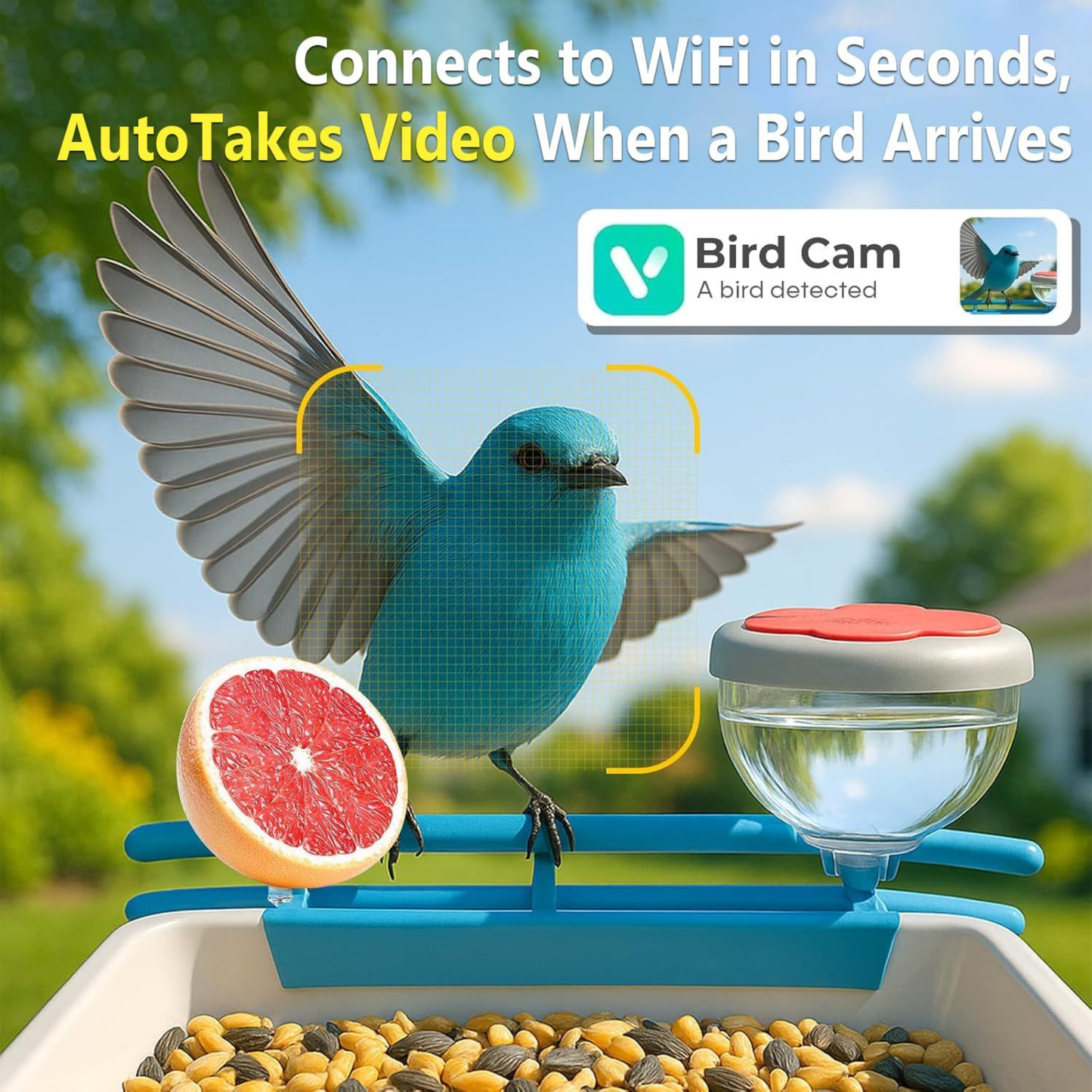 Solar powered bird feeder with night vision camera