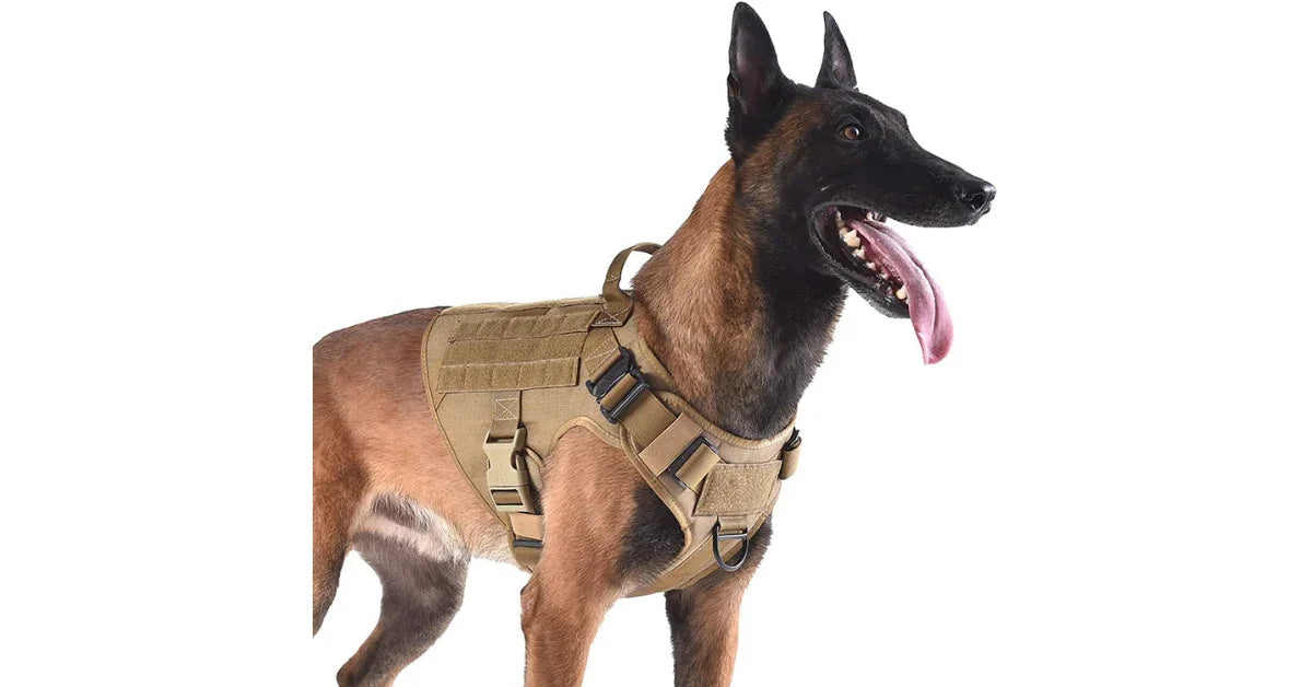 Heavy Duty Training Nylon Tactical Adjustable Dog Harness (Calming Pet Vest for Dogs) - vitaliqa