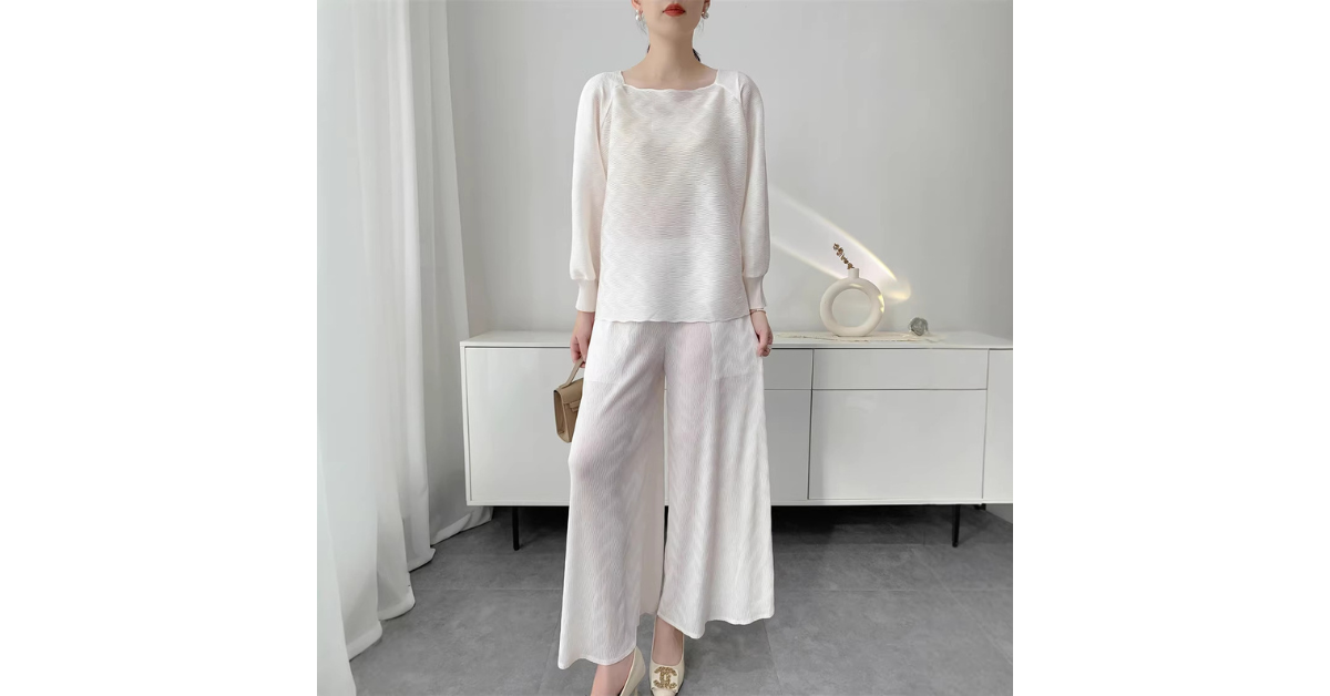 pleated pants two piece set