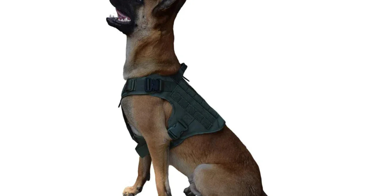 Heavy Duty Training Nylon Tactical Adjustable Dog Harness (Calming Pet Vest for Dogs) - vitaliqa