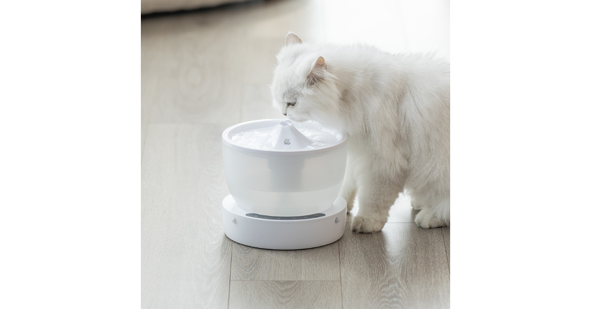Dog drinking from wireless pet fountain
