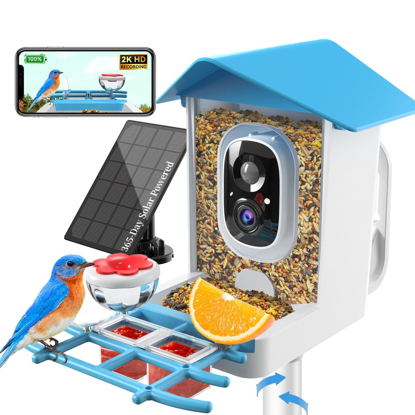 Squirrel proof bird feeder camera with motion alerts