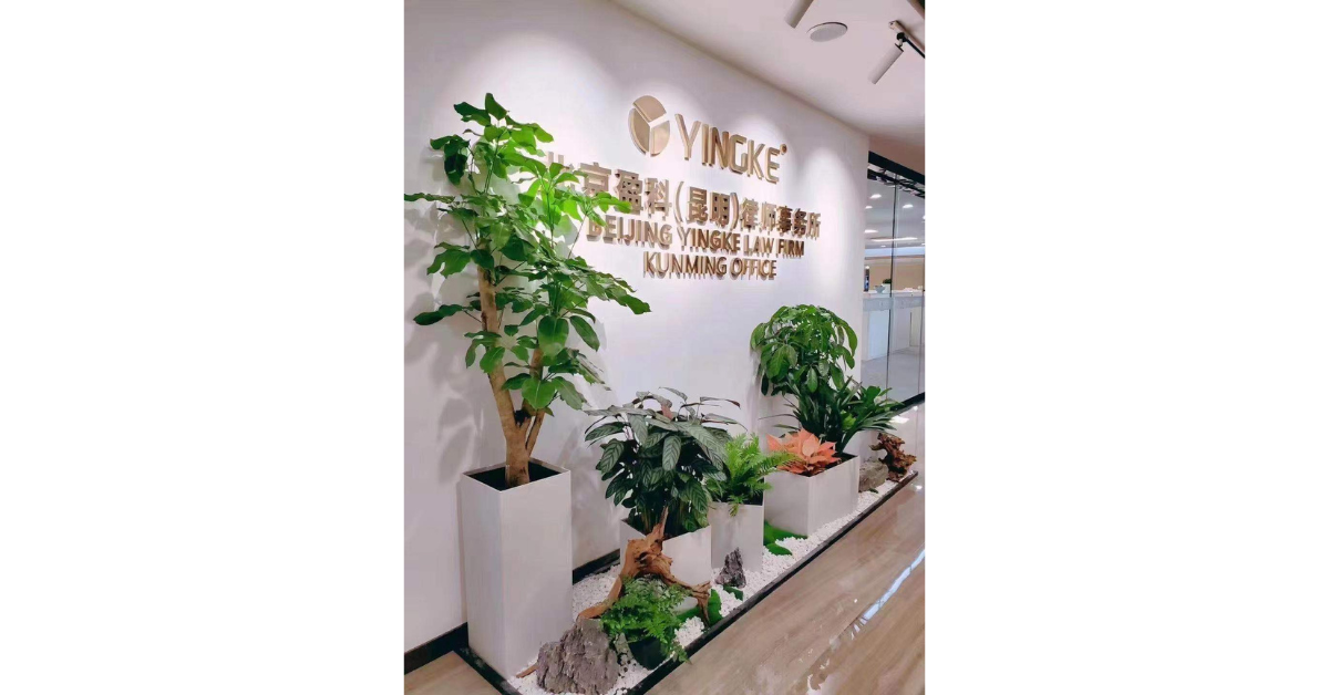 Indoor plant care with modular planter boxes
