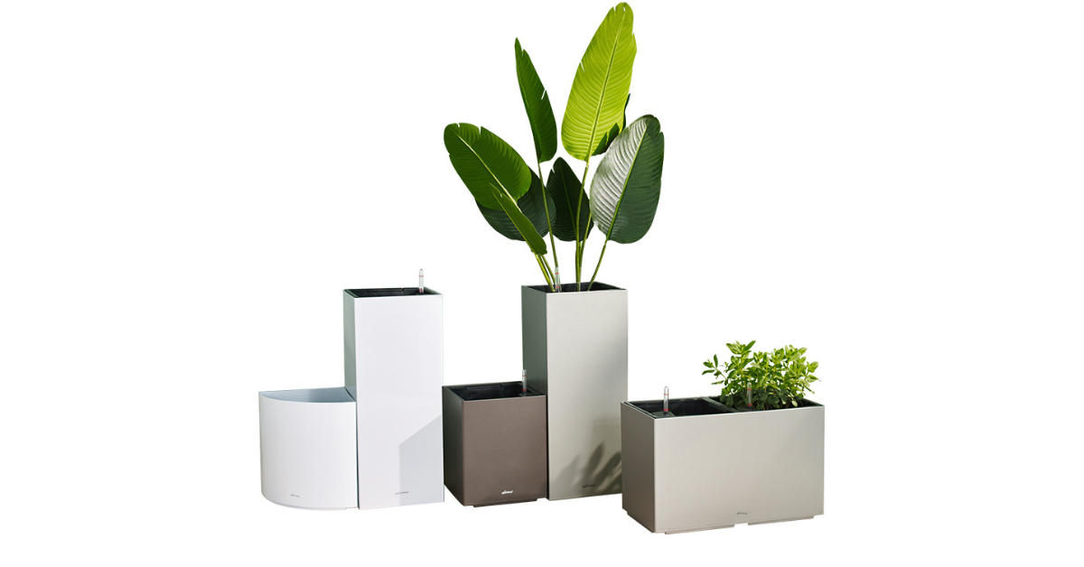 Outdoor self-watering plant pots on patio