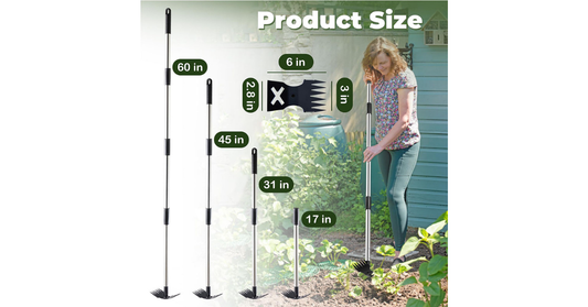Long handle weed puller removing weeds from soil