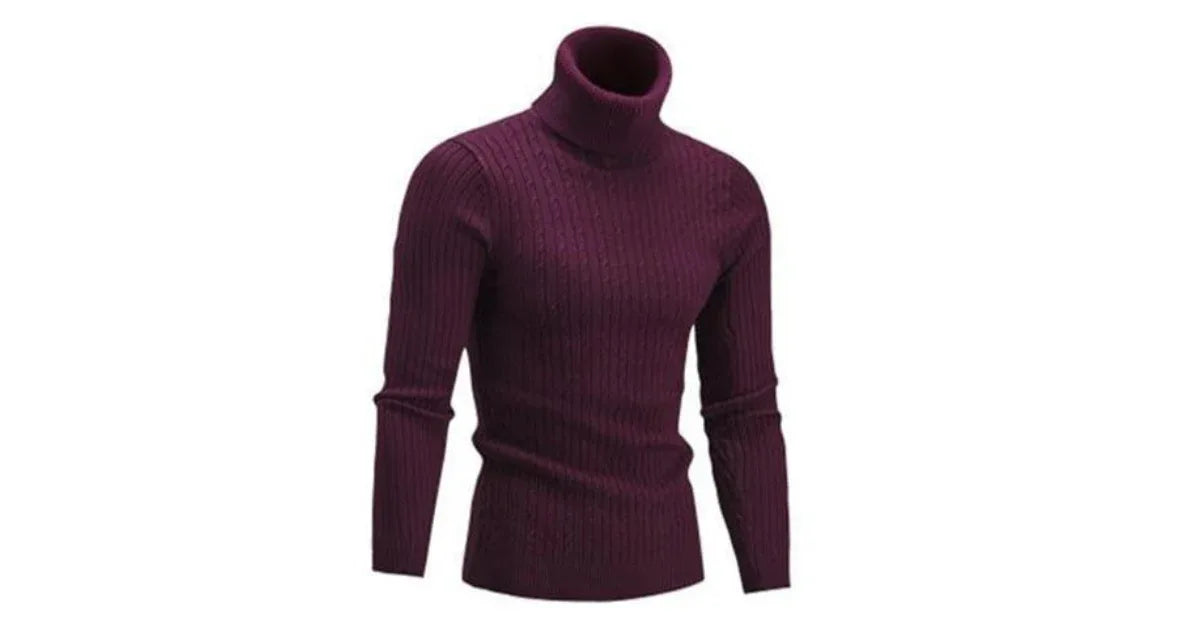 Men’s 500g Winter Turtleneck Sweater – Thick Knit Warm Pullover - vitaliqa