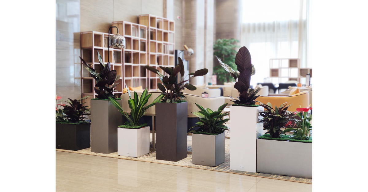 Modern eco-friendly indoor planter setup
