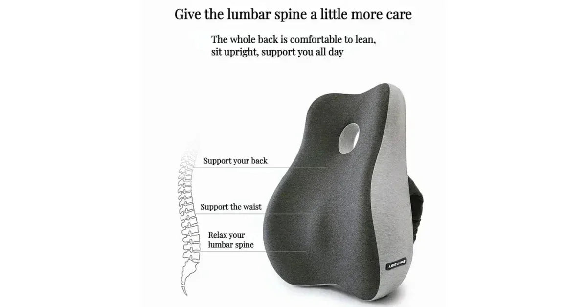 Memory Foam Lumbar & Coccyx Cushion – Best Office Chair Cushion for Back Pain & Posture Support - vitaliqa