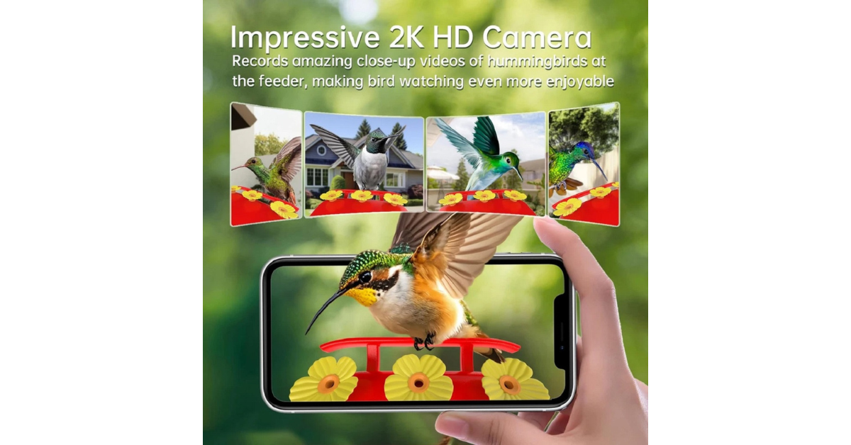 Close-up of 5MP WiFi bird camera feeder