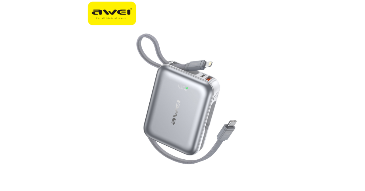 USB and Type-C power bank