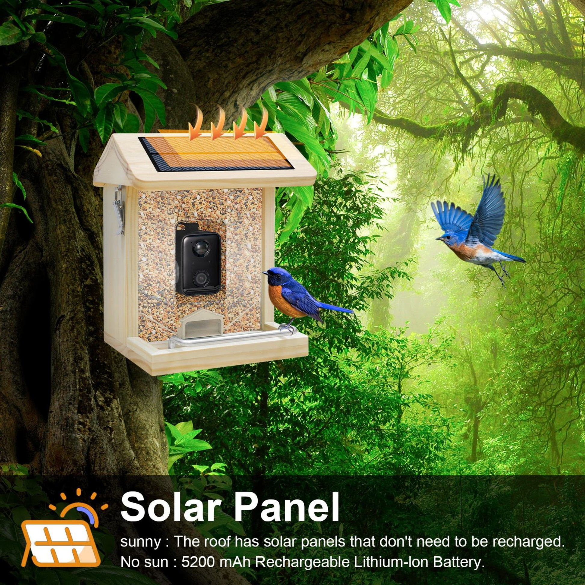 Smart Bird Feeder Camera mounted in a backyard tree capturing wild birds in Full HD with AI Bird Recognition Camera and App Control.