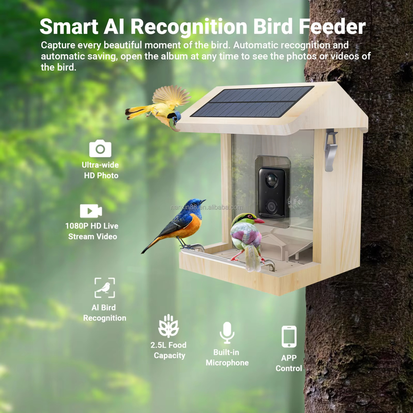 Outdoor Smart Bird Feeder with waterproof construction providing reliable bird watching during rainy weather.