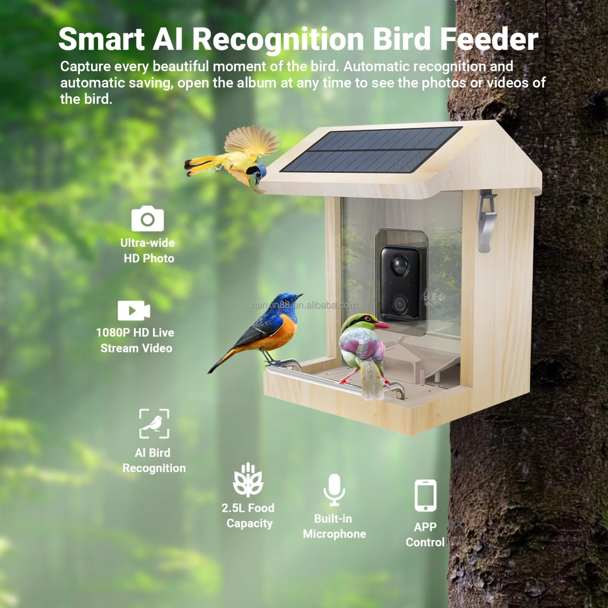 Outdoor Smart Bird Feeder with waterproof construction providing reliable bird watching during rainy weather.