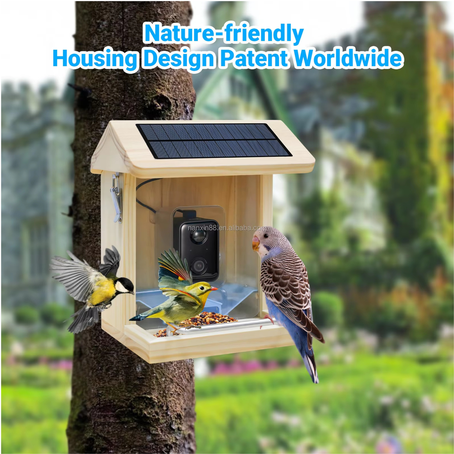 AI Bird Feeder Camera allowing bird lovers to watch wild birds remotely using WiFi Bird Feeder Camera connectivity.